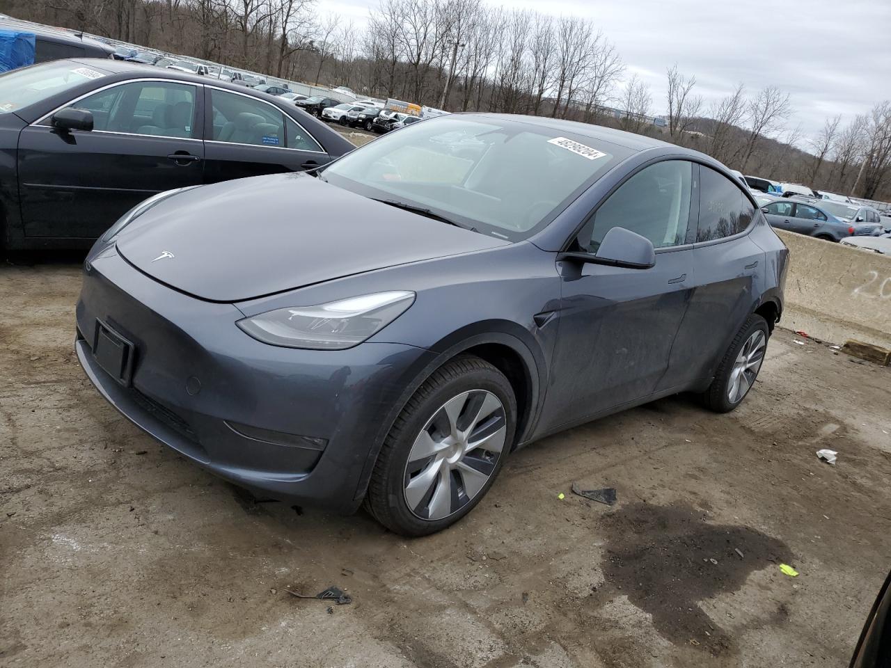 2023 TESLA MODEL Y  VIN:7SAYGDEE7PA202646