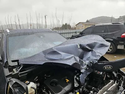 2019 Kia Sportage KNAPP81ABKK643821 VIN:KNAPP81ABKK643821