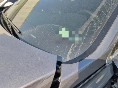 2020 Hyundai Santa FE KMHS381ABLU279559 VIN:KMHS381ABLU279559