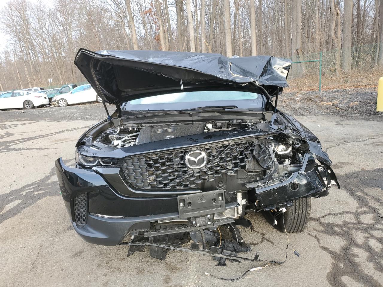 2024 MAZDA CX-50 PREMIUM VIN:7MMVABDM0RN183072