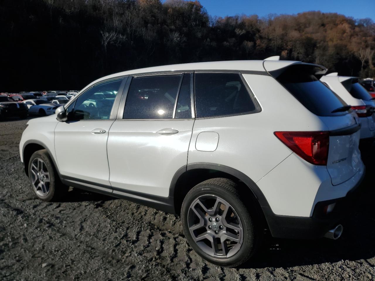 2022 HONDA PASSPORT EXL VIN:5FNYF8H55NB011813