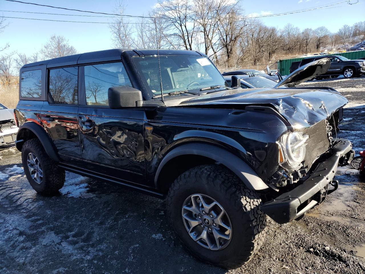 2024 FORD BRONCO BADLANDS VIN:1FMEE9BP5RLA45061