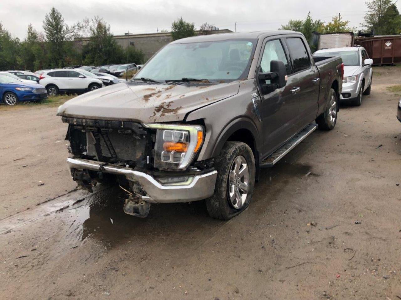 2022 FORD F150 SUPERCREW VIN:1FTFW1E51NFB03483