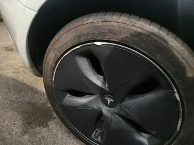 2020 Tesla Model 3 5YJ3E1EB3LF756250 VIN:5YJ3E1EB3LF756250