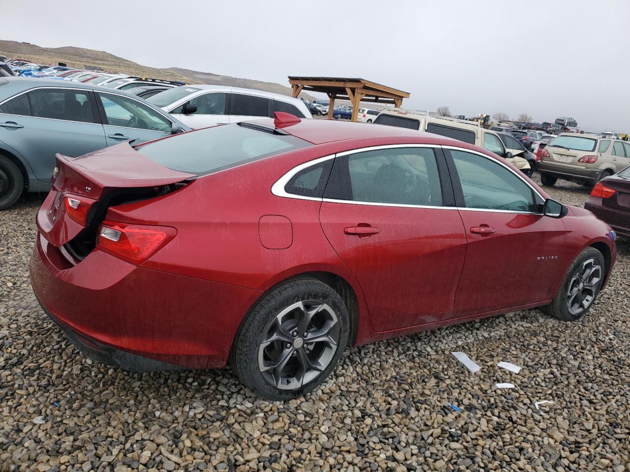 2023 CHEVROLET MALIBU LT VIN:1G1ZD5ST0PF211442