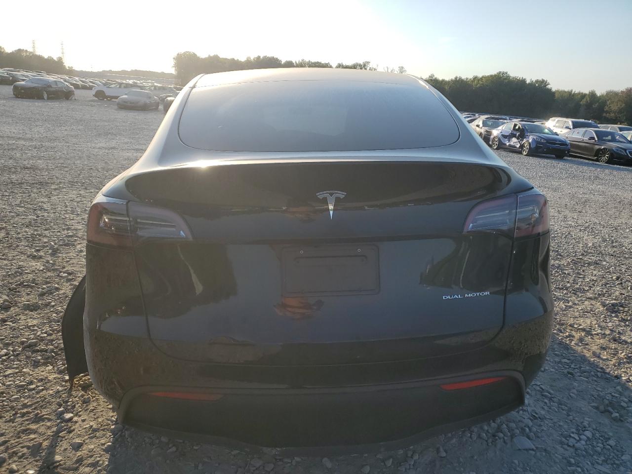 2023 TESLA MODEL Y  VIN:7SAYGDEE6PA190991