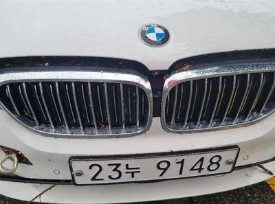 2019 BMW 520 WBAJK7107KGL29288 VIN:WBAJK7107KGL29288