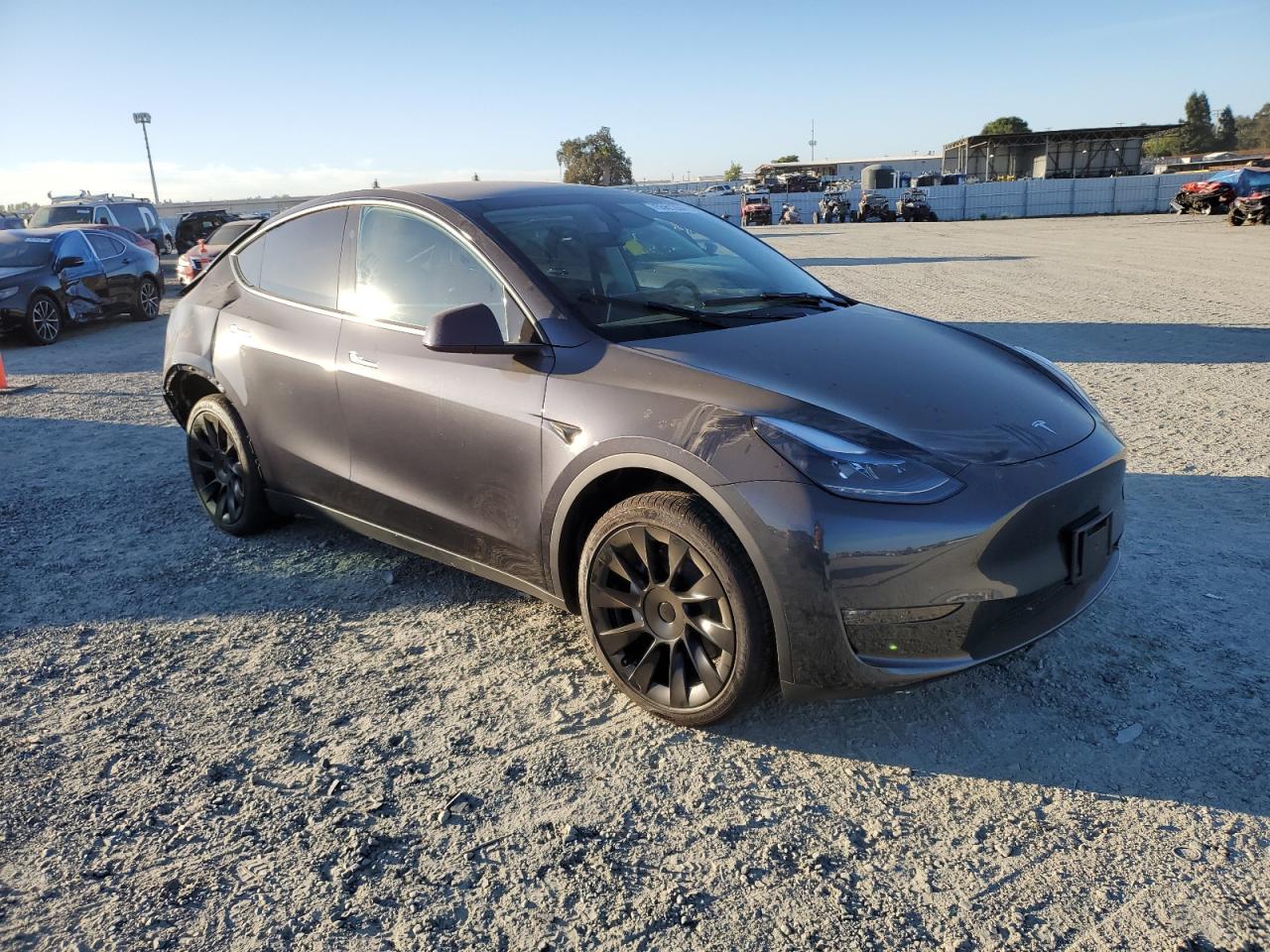 2024 TESLA MODEL Y  VIN:7SAYGDEE6RF118100