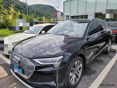 2020 Audi e-tron WAUZZZGE1LB031508 VIN:WAUZZZGE1LB031508