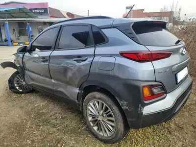 2019 Hyundai Kona KMHK3816GJU239353 VIN:KMHK3816GJU239353