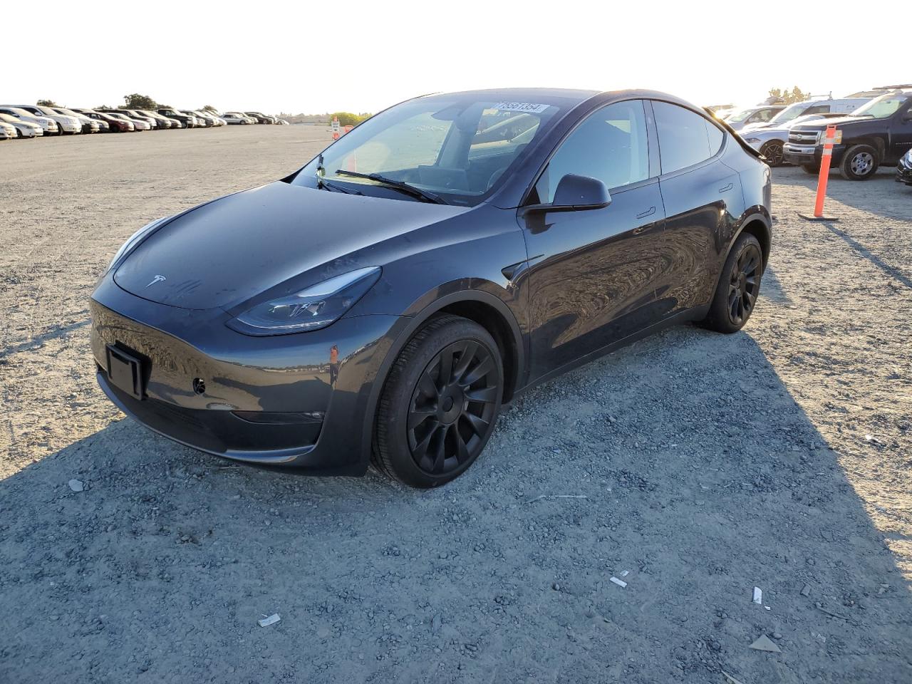 2024 TESLA MODEL Y  VIN:7SAYGDEE6RF118100