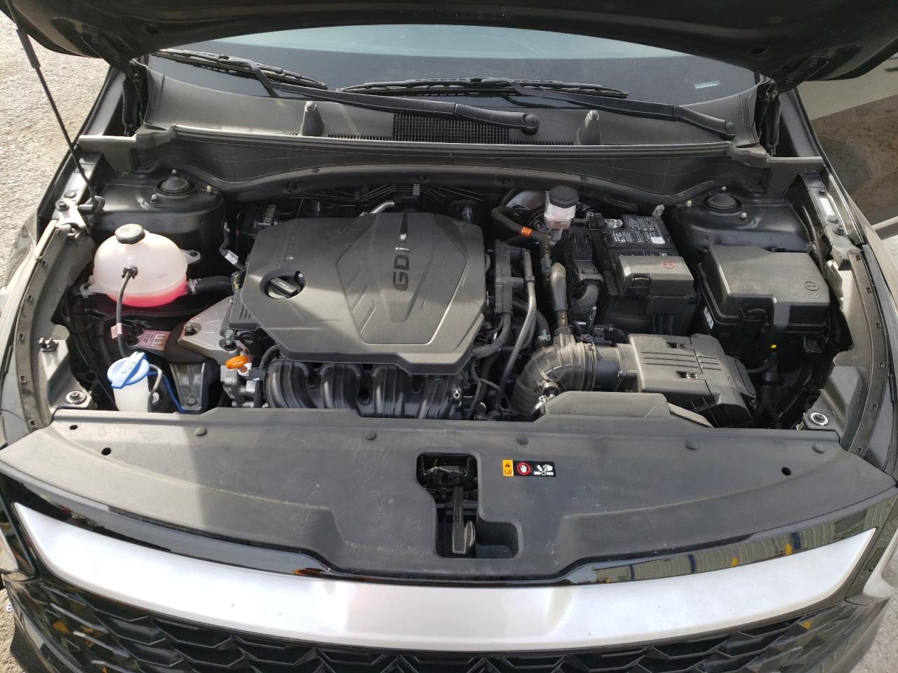 2023 KIA SPORTAGE EX VIN:5XYK33AF2PG135411