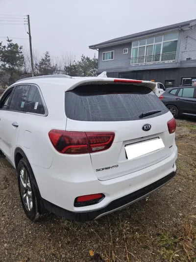 2019 Kia Sorento KNAPH811DLA630874 VIN:KNAPH811DLA630874