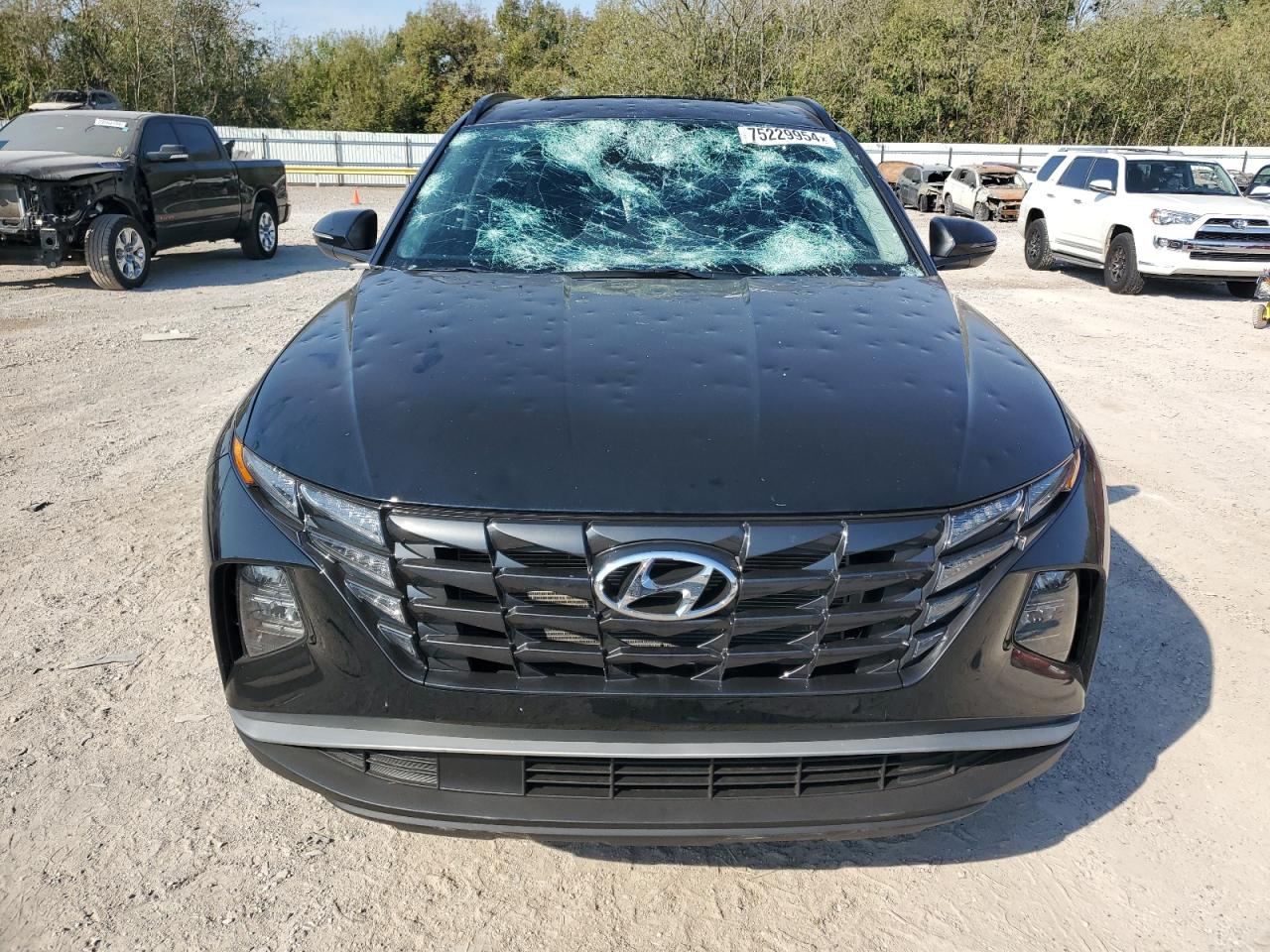 2024 HYUNDAI TUCSON SEL VIN:5NMJFCDE0RH351420
