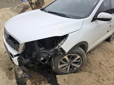 2019 Kia Sorento KNAPG81BDKA540068 VIN:KNAPG81BDKA540068