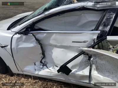 2020 Tesla Model 3 5YJ3E1EB9LF695079 VIN:5YJ3E1EB9LF695079