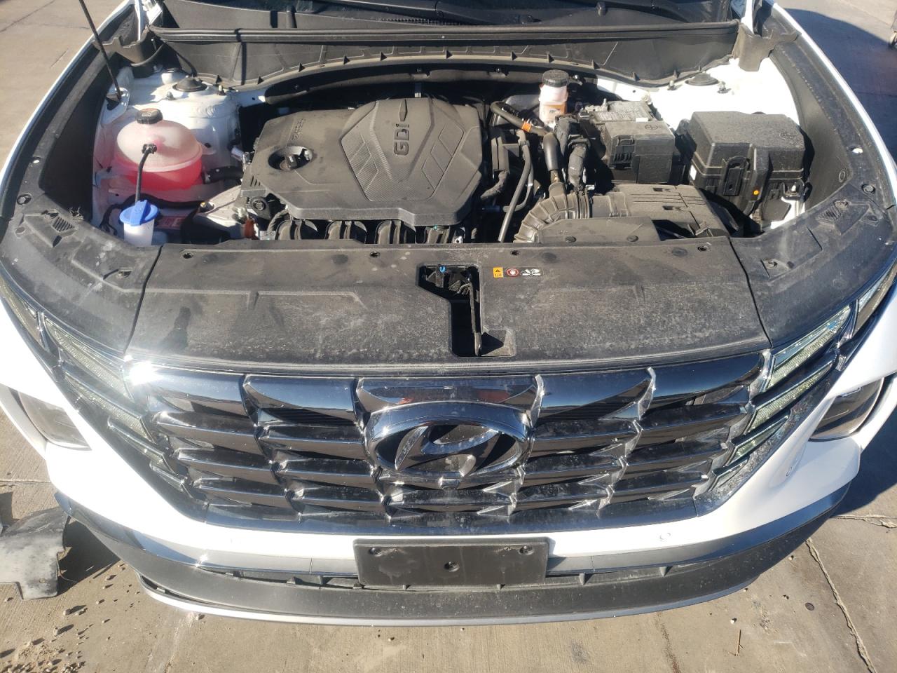 2024 HYUNDAI TUCSON LIMITED VIN:5NMJECDE5RH310767