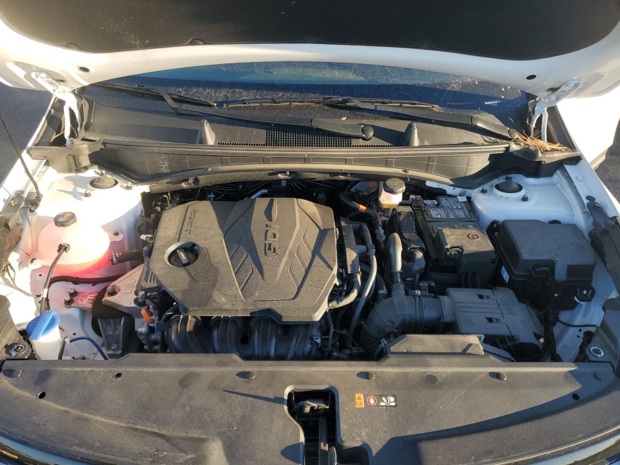 2023 KIA SPORTAGE X LINE VIN:5XYK6CAFXPG015864