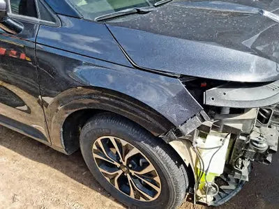 2021 Kia Carnival KNANB81BBMS069039 VIN:KNANB81BBMS069039