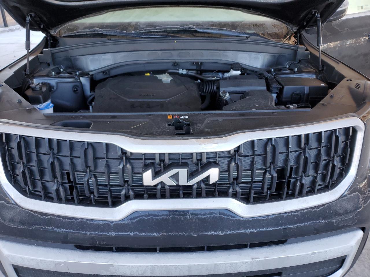 2024 KIA TELLURIDE EX VIN:5XYP34GC4RG567204