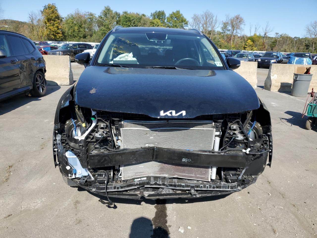 2023 KIA SPORTAGE EX VIN:5XYK3CAF7PG013241