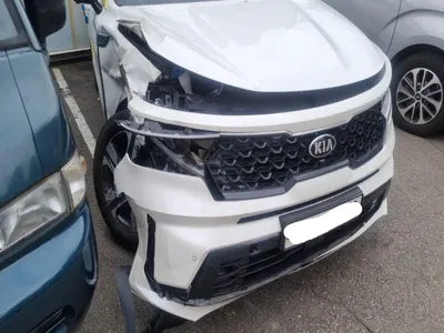 2021 Kia Sorento KNARM81GDMA001365 VIN:KNARM81GDMA001365