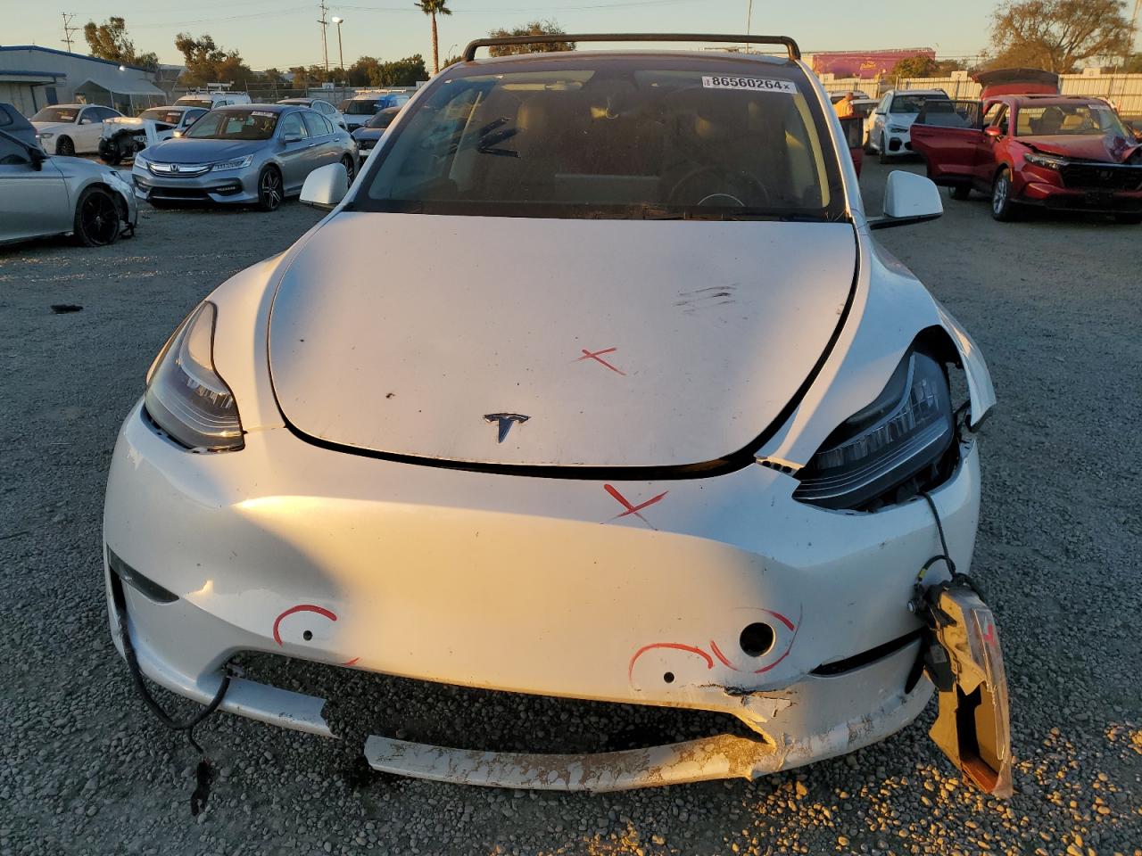 2022 TESLA MODEL Y  VIN:7SAYGAEEXNF488944