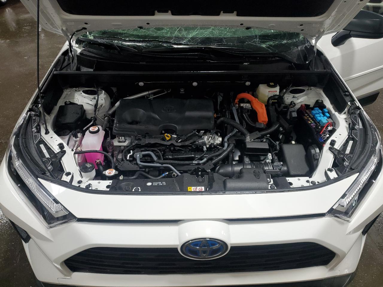 2024 TOYOTA RAV4 LE VIN:JTMLWRFV2RD269352