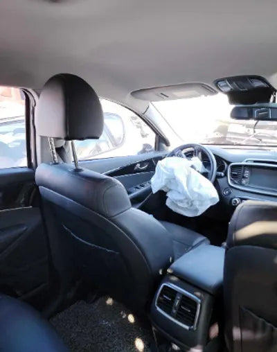 2018 Kia Sorento KNAPG81ABJA449790 VIN:KNAPG81ABJA449790