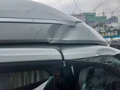 2021 Kia Carnival KNANE813BMS028644 VIN:KNANE813BMS028644