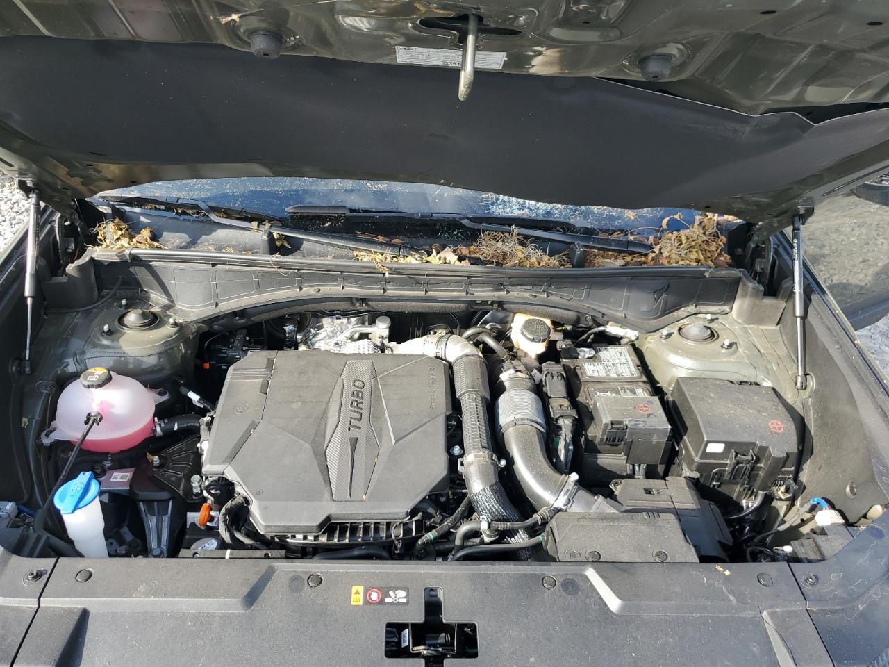 2024 HYUNDAI SANTA FE SEL VIN:5NMP24GL6RH019276