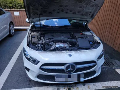 2020 Mercedes-Benz A 220 W1K3G4EBXLJ194325 VIN:W1K3G4EBXLJ194325