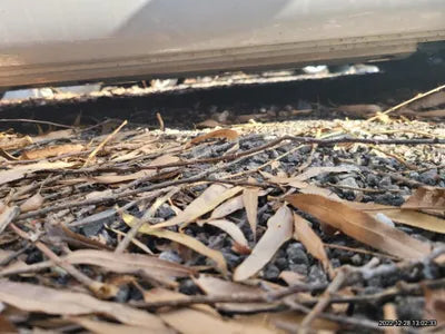 2022 Genesis G80 VIN: