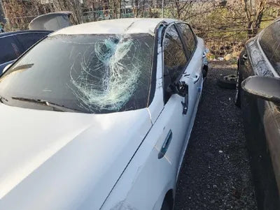 2017 Kia K5 KNAGT41EBHA009834 VIN:KNAGT41EBHA009834