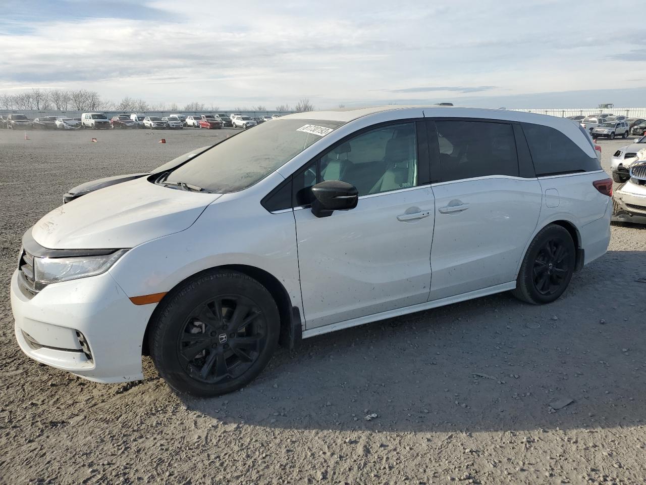 2023 HONDA ODYSSEY SPORT-L VIN:5FNRL6H78PB073499