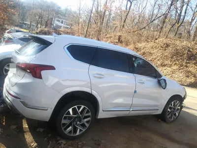 2021 Hyundai Santa FE KMHS581HHMU415024 VIN:KMHS581HHMU415024