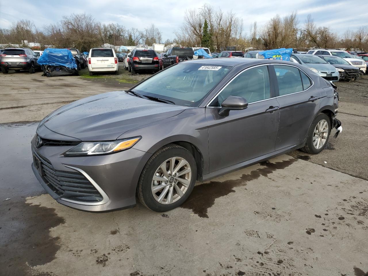 2023 TOYOTA CAMRY LE VIN:5NPD84LF4HH048889