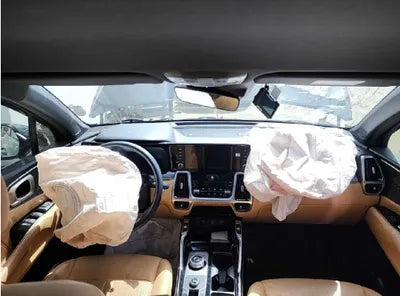 2021 Kia Sorento KNARH81BGMA056349 VIN:KNARH81BGMA056349