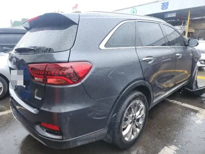 2019 Kia Sorento KNAPS81BBKA545743 VIN:KNAPS81BBKA545743