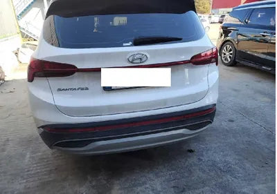 2021 Hyundai Santa FE KMHS381HGMU310393 VIN:KMHS381HGMU310393