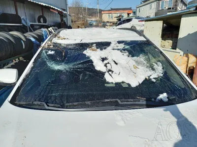 2016 Hyundai Santa FE 519KMKMHSW81UBGU6 VIN:519KMKMHSW81UBGU6