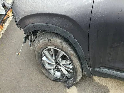 2019 Hyundai Santa FE KMHS281BBKU160055 VIN:KMHS281BBKU160055