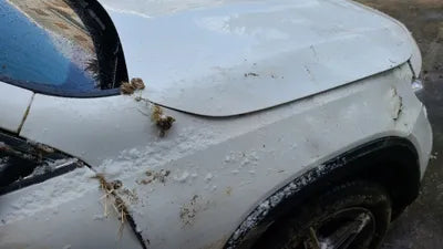 2021 Mercedes-Benz B 250 W1N4M4HB4MW101928 VIN:W1N4M4HB4MW101928