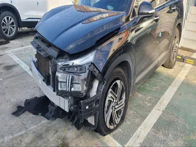 2021 Hyundai Santa FE KMHS281HGMU396979 VIN:KMHS281HGMU396979