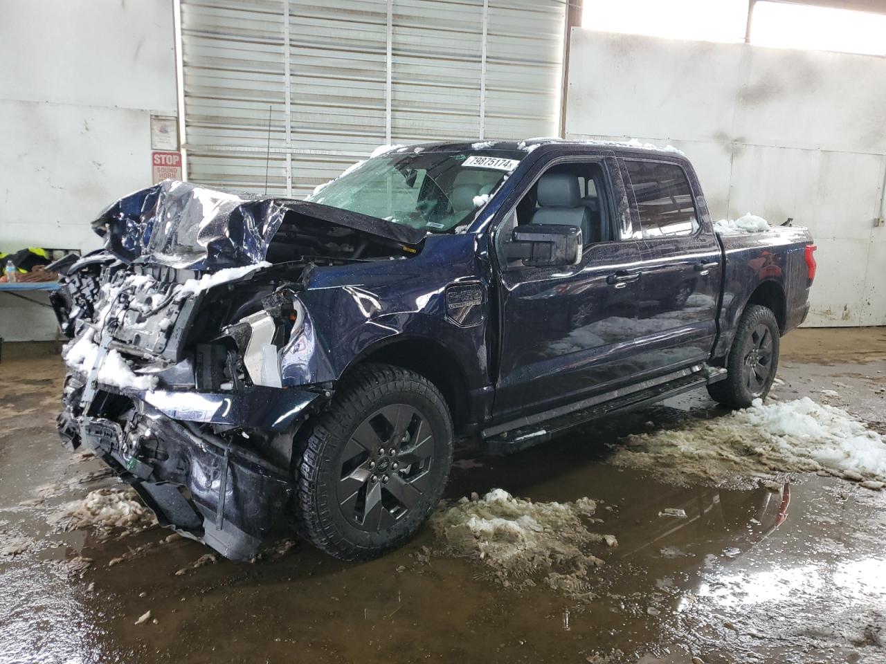 2023 FORD F150 LIGHTNING PRO VIN:1FTVW1EV5PWG12846