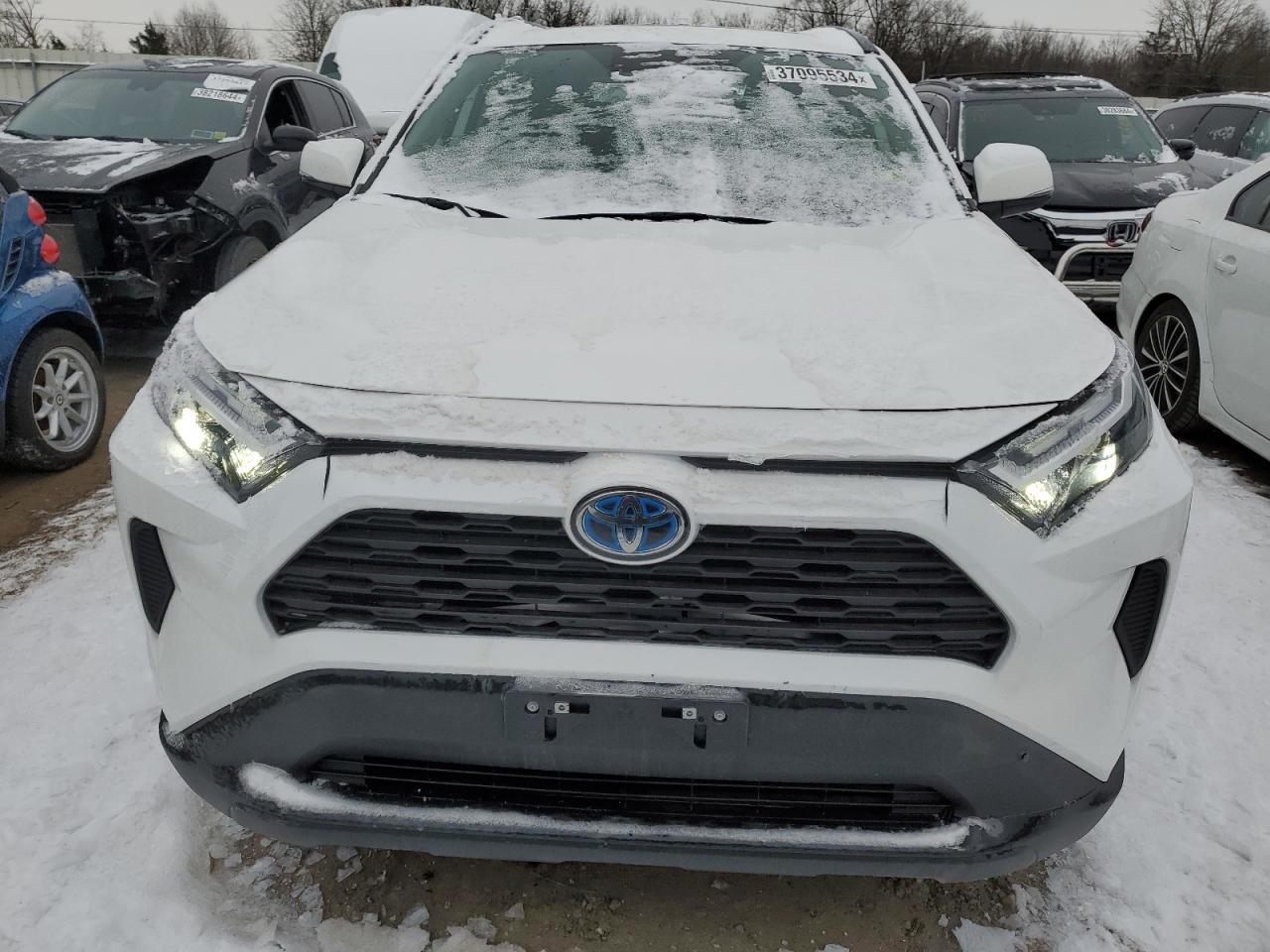 2023 TOYOTA RAV4 XLE VIN:2T3RWRFV2PW183436