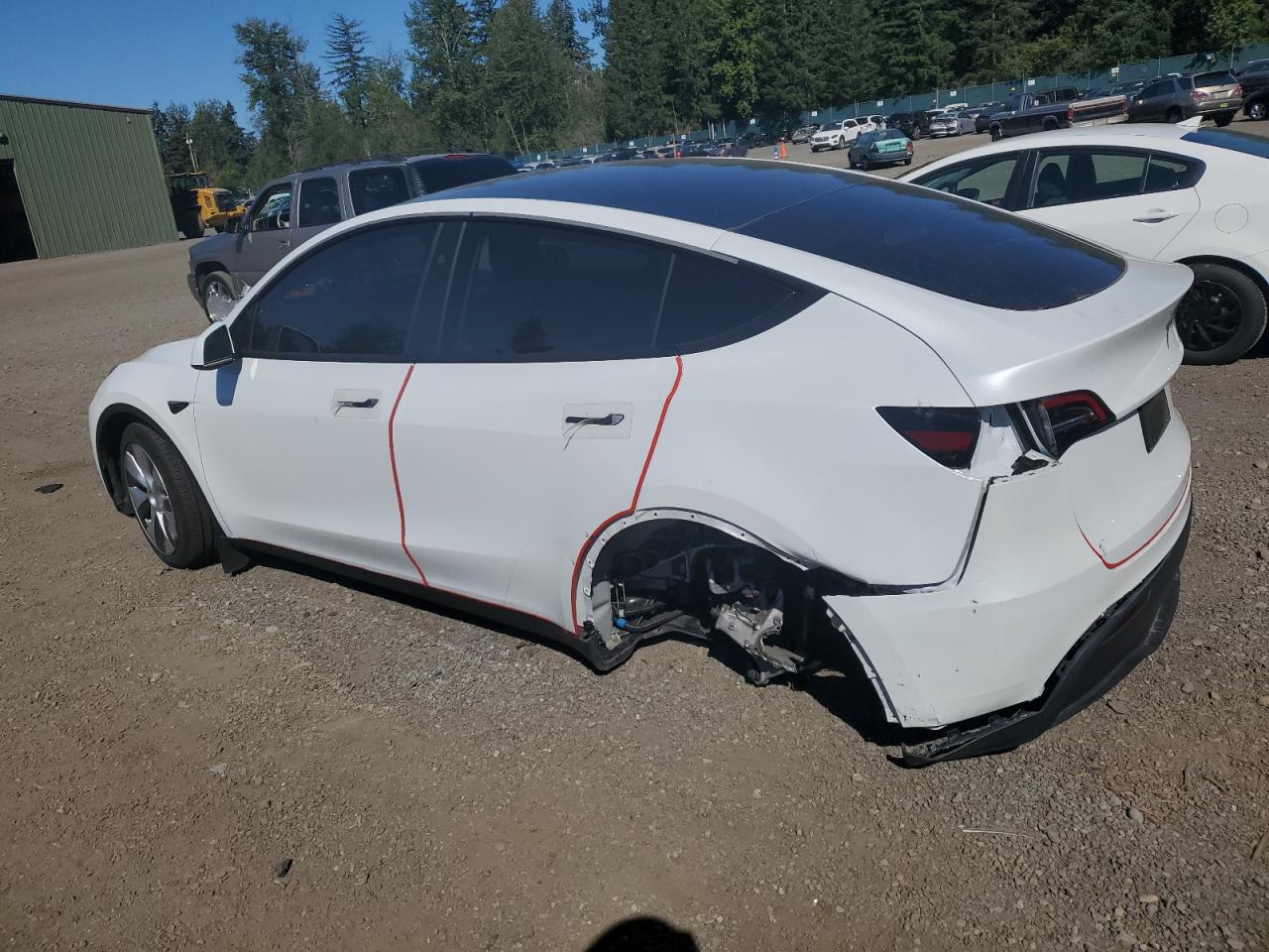 2024 TESLA MODEL Y  VIN:7SAYGDEE5RF047147