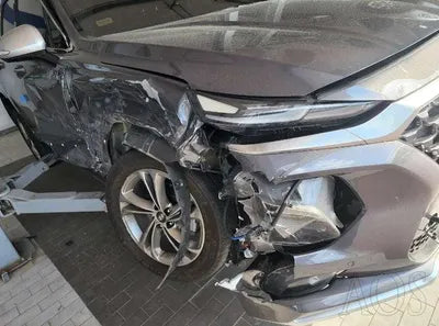 2019 Hyundai Santa FE KMHS581CDKU131078 VIN:KMHS581CDKU131078