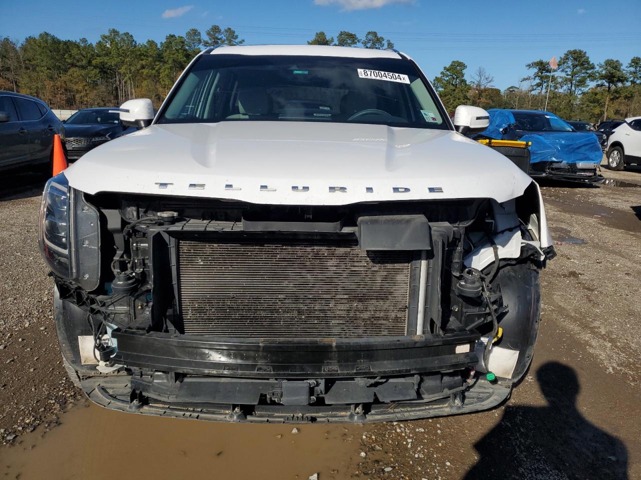 2022 KIA TELLURIDE EX VIN:5XYP34HC4NG231108