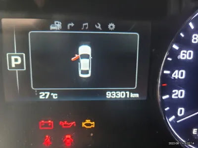 2016 acupuncture nessis 3.3 VIN: